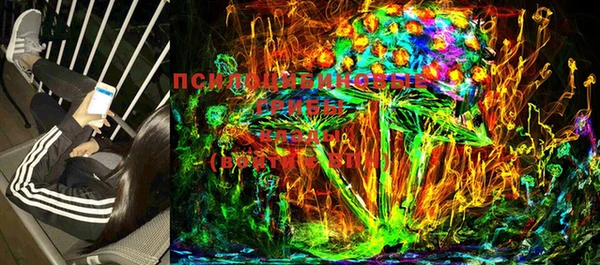 прущие грибы Россошь