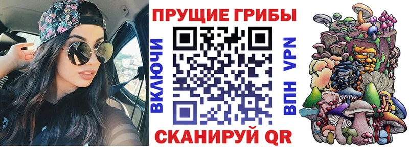 Галлюциногенные грибы мицелий  Купить  Туринск 